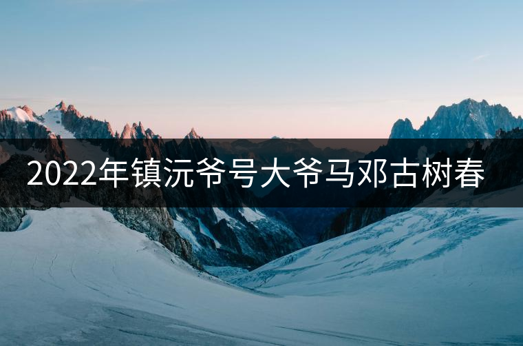 2022年鎮(zhèn)沅爺號(hào)大爺馬鄧古樹春茶特點(diǎn)？