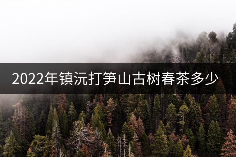 2022年鎮(zhèn)沅打筍山古樹春茶多少錢一公斤？