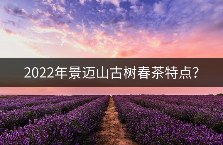 2022年景邁山古樹春茶特點(diǎn)？