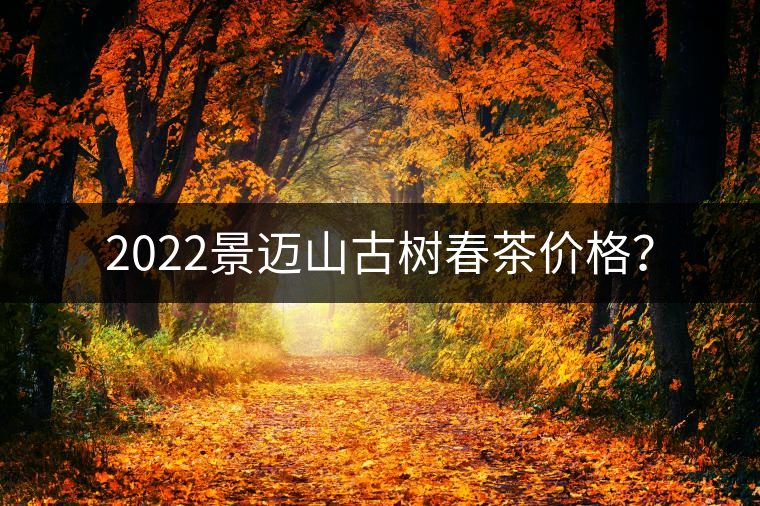 2022景邁山古樹春茶價格？
