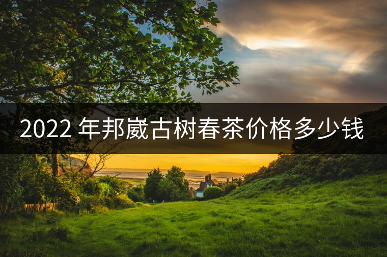 2022 年邦崴古樹春茶價格多少錢一公斤？