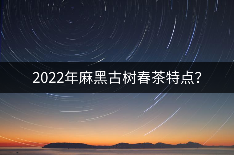 2022年麻黑古樹春茶特點？