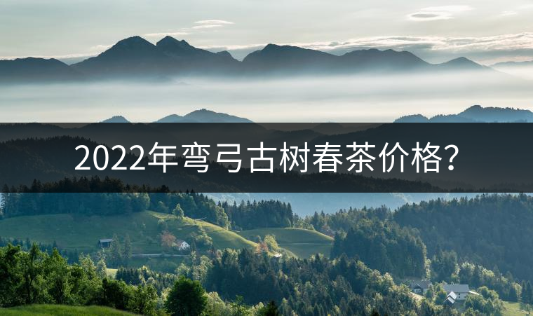 2022年彎弓古樹(shù)春茶價(jià)格？