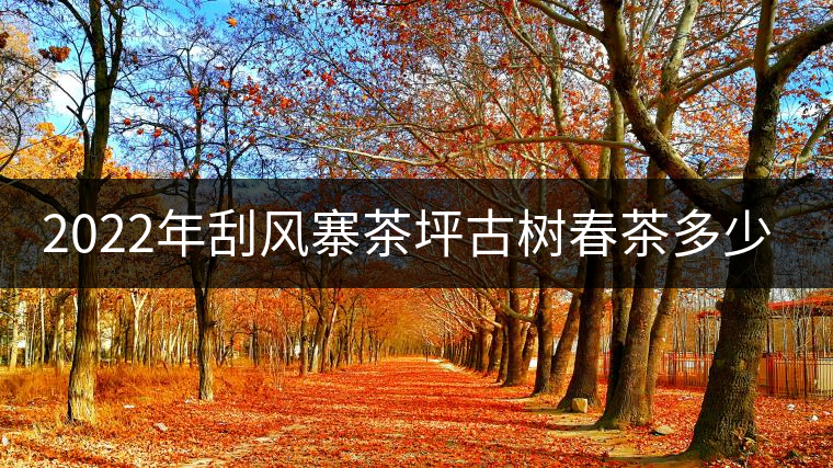 2022年刮風(fēng)寨茶坪古樹春茶多少錢一公斤？