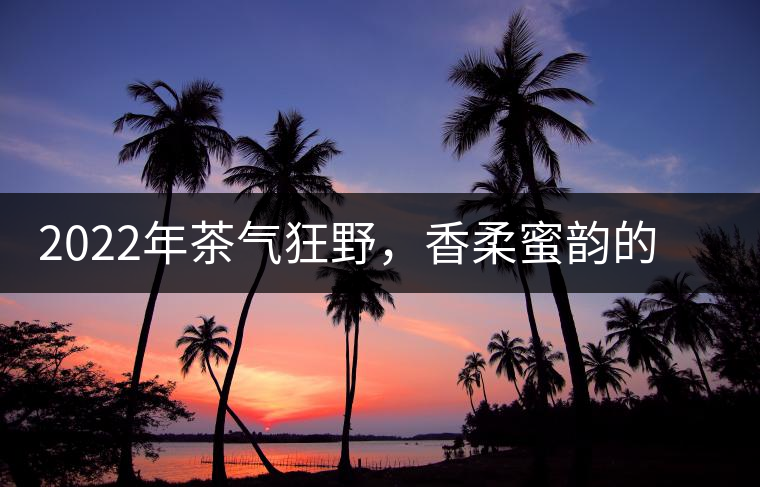 2022年茶氣狂野，香柔蜜韻的刮風(fēng)寨茶坪古樹茶