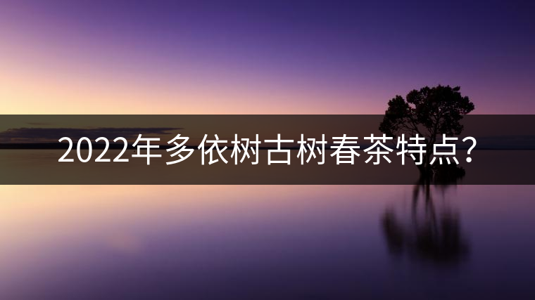 2022年多依樹古樹春茶特點？