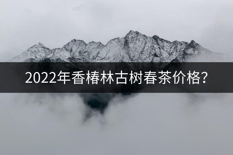 2022年香椿林古樹春茶價(jià)格？