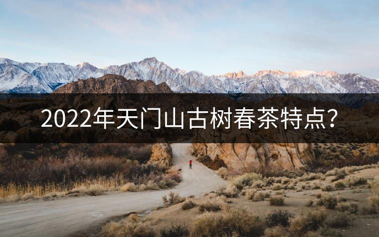 2022年天門山古樹春茶特點(diǎn)？