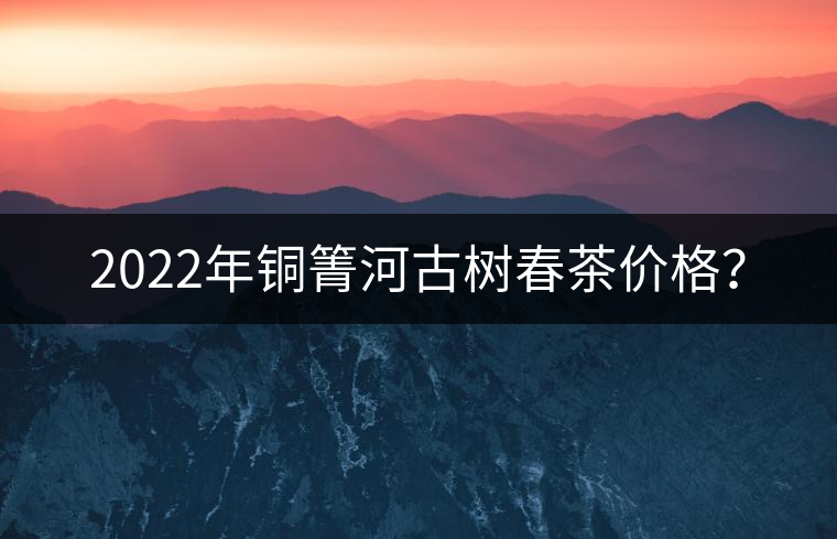2022年銅箐河古樹春茶價(jià)格？