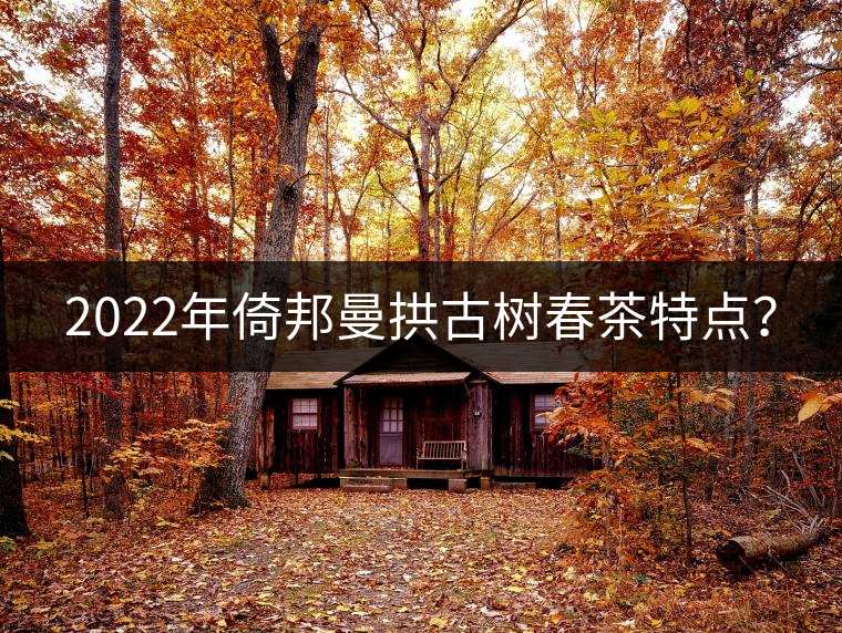 2022年倚邦曼拱古樹(shù)春茶特點(diǎn)？