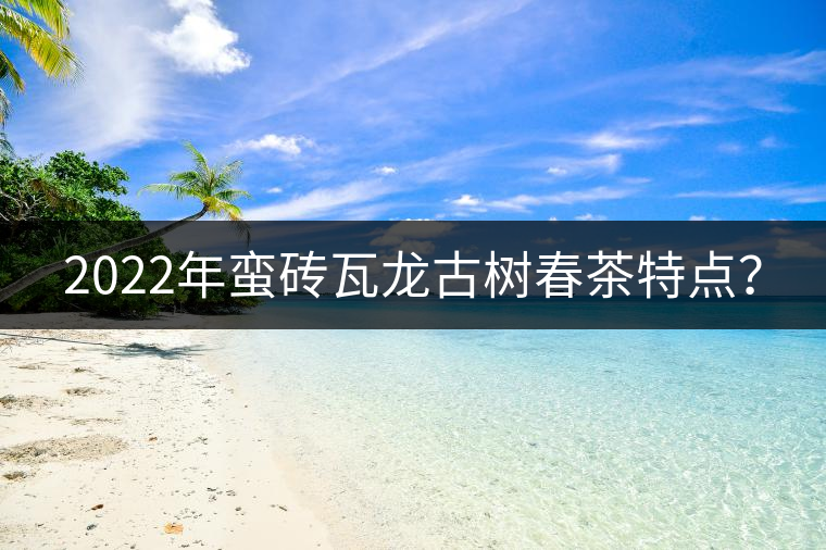 2022年蠻磚瓦龍古樹春茶特點(diǎn)？