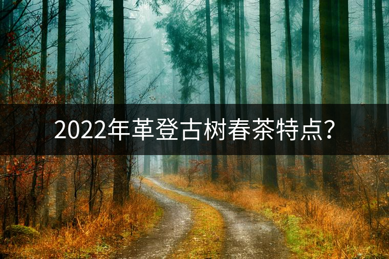 2022年革登古樹(shù)春茶特點(diǎn)？