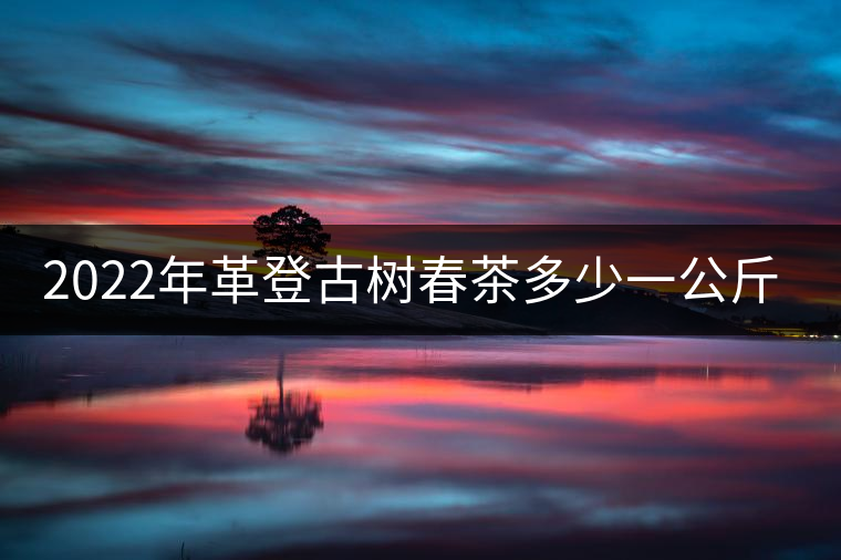2022年革登古樹春茶多少一公斤？