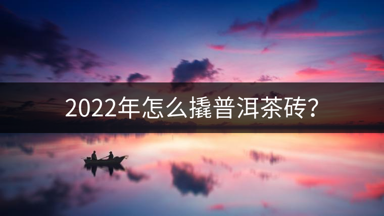 2022年怎么撬普洱茶磚？