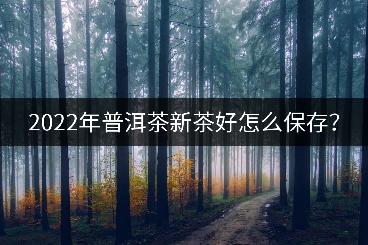 2022年普洱茶新茶好怎么保存？