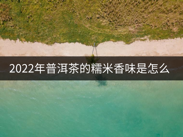 2022年普洱茶的糯米香味是怎么來的？