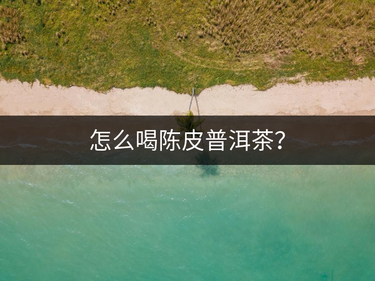 怎么喝陳皮普洱茶？