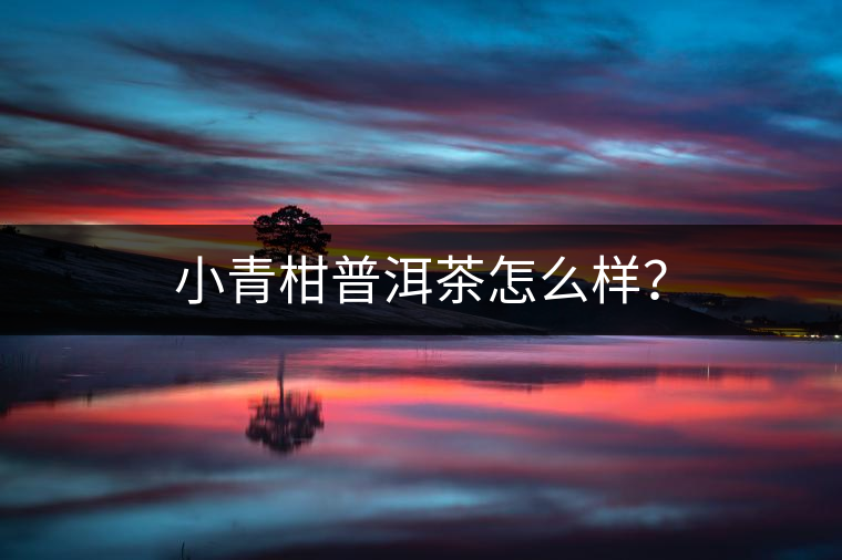 小青柑普洱茶怎么樣？