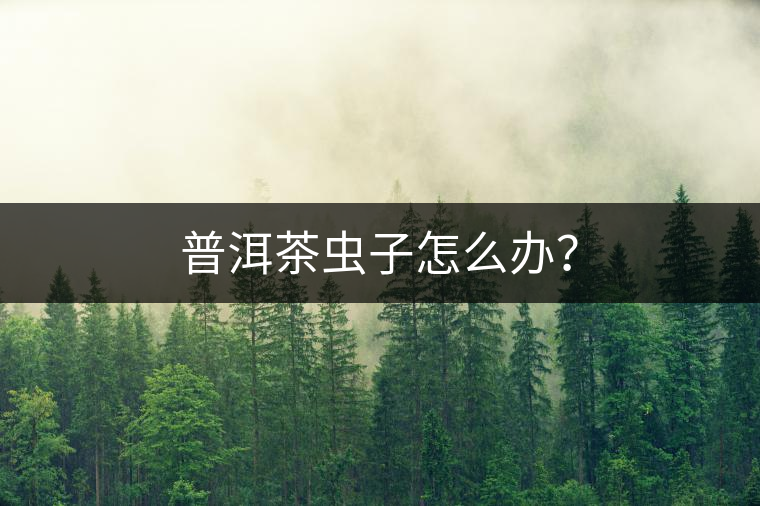 普洱茶蟲(chóng)子怎么辦？