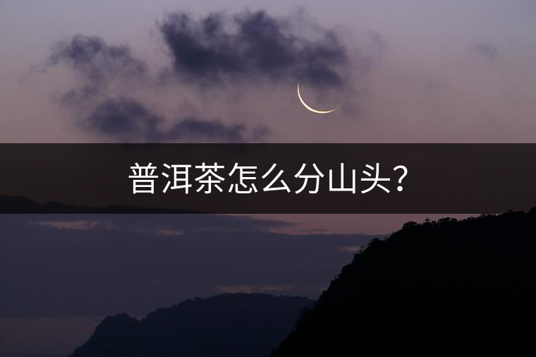 普洱茶怎么分山頭？