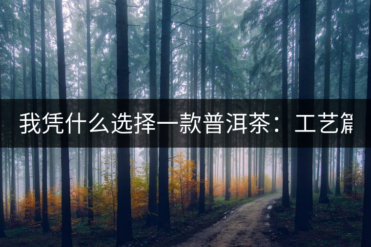 我憑什么選擇一款普洱茶：工藝篇？