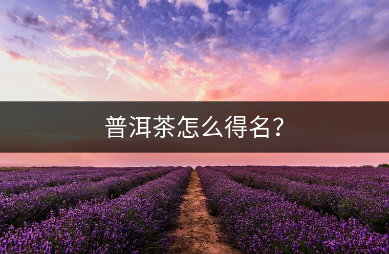 普洱茶怎么得名？