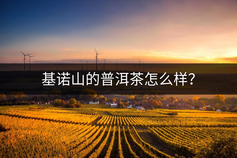 基諾山的普洱茶怎么樣？