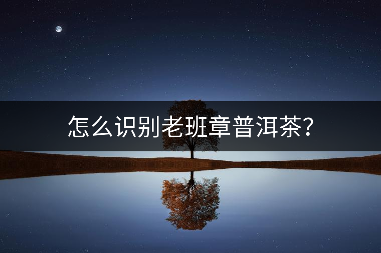 怎么識別老班章普洱茶？