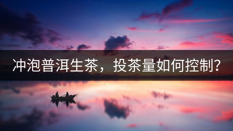 沖泡普洱生茶，投茶量如何控制？