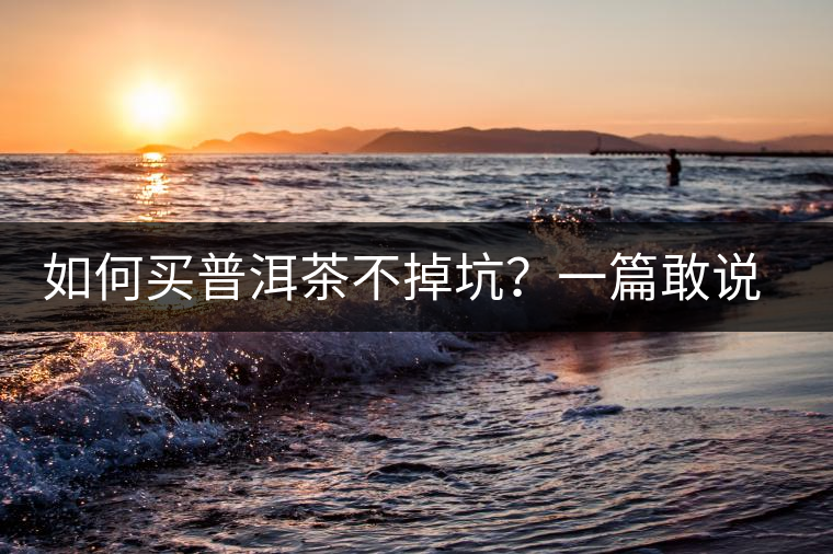 如何買普洱茶不掉坑？一篇敢說(shuō)真話的良心之作。