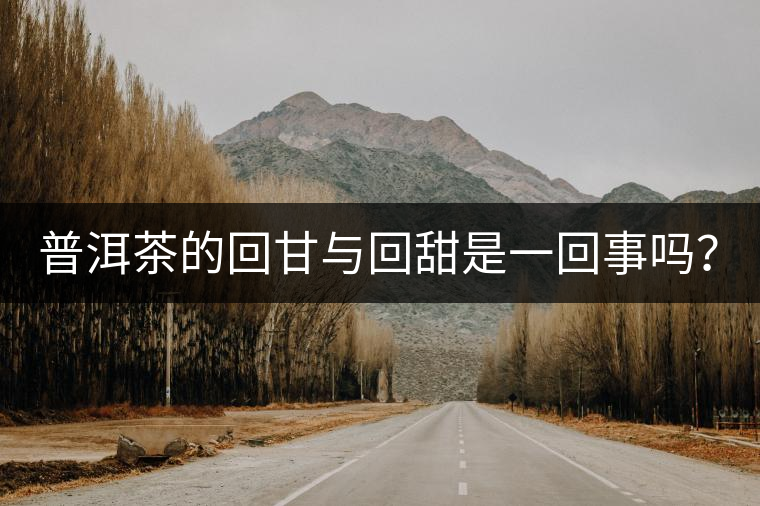 普洱茶的回甘與回甜是一回事嗎？？