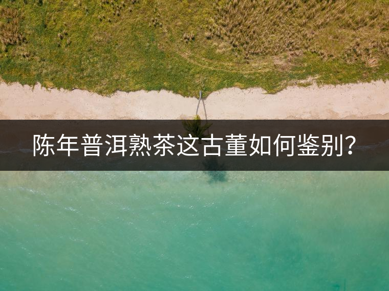 陳年普洱熟茶這古董如何鑒別？