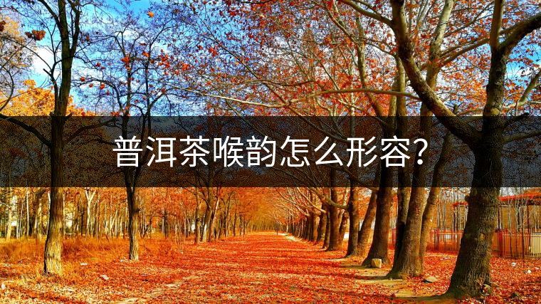 普洱茶喉韻怎么形容？