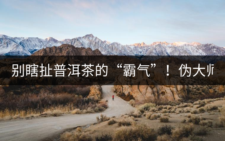 別瞎扯普洱茶的“霸氣”！偽大師！