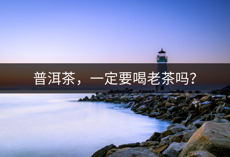 普洱茶，一定要喝老茶嗎？