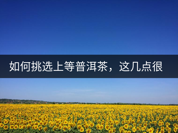如何挑選上等普洱茶，這幾點(diǎn)很關(guān)鍵