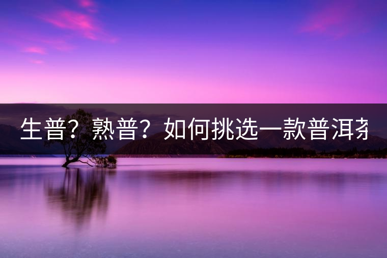 生普？熟普？如何挑選一款普洱茶？