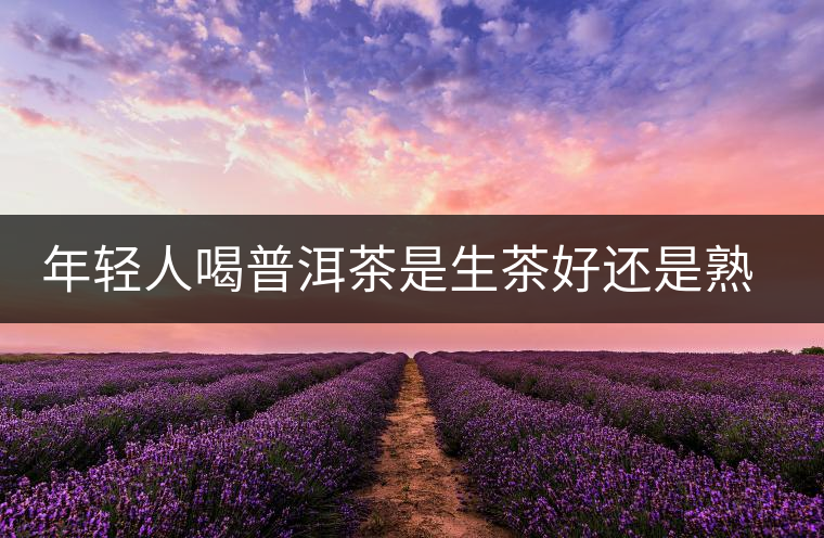年輕人喝普洱茶是生茶好還是熟茶好？該怎么選擇？