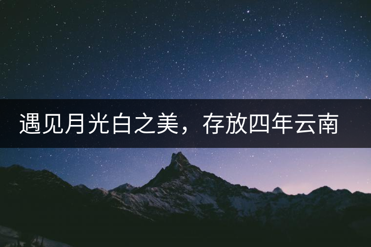 遇見(jiàn)月光白之美，存放四年云南古樹白茶