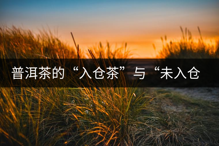 普洱茶的“入倉(cāng)茶”與“未入倉(cāng)茶”如何區(qū)分，你造嗎？