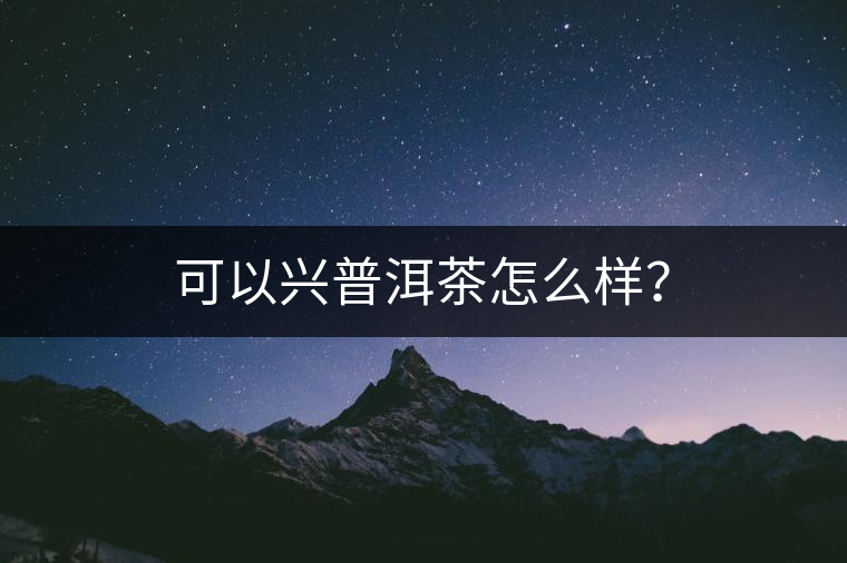 可以興普洱茶怎么樣？