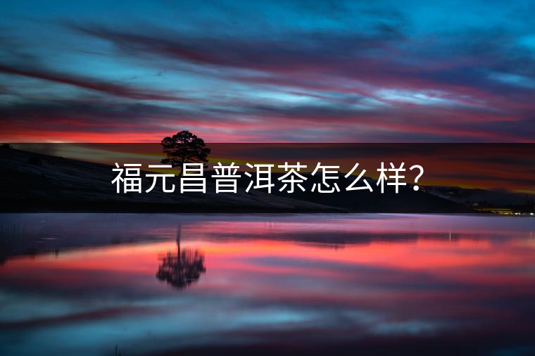 福元昌普洱茶怎么樣？