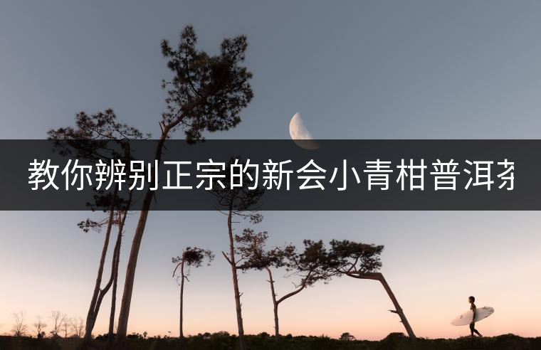 教你辨別正宗的新會(huì)小青柑普洱茶?