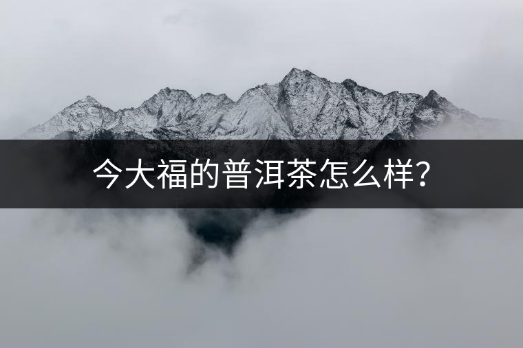 今大福的普洱茶怎么樣？