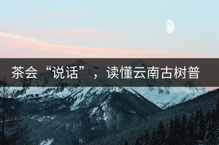 茶會“說話”，讀懂云南古樹普洱茶的秘訣