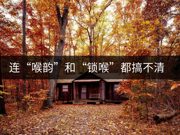 連“喉韻”和“鎖喉”都搞不清楚，就不要說懂普洱茶！