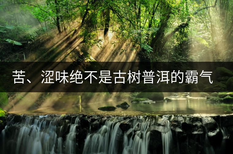 苦、澀味絕不是古樹普洱的霸氣，那也叫懂普洱茶，別逗了！