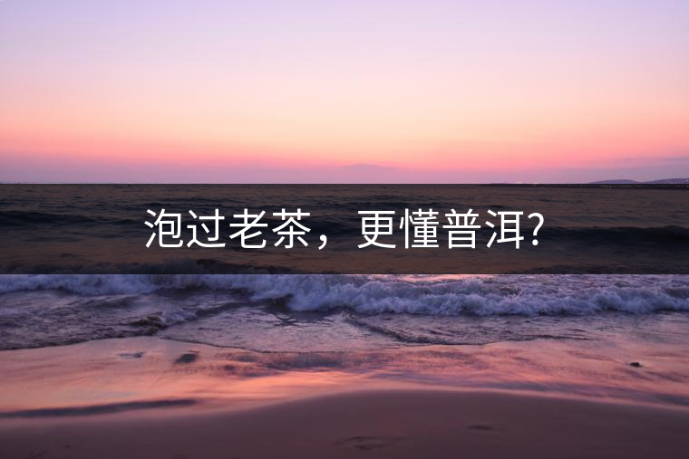 泡過老茶，更懂普洱?