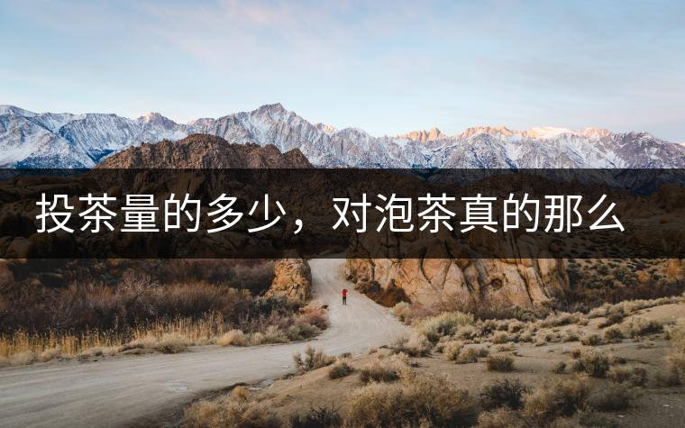 投茶量的多少，對(duì)泡茶真的那么重要嗎？