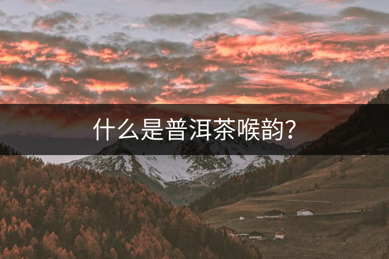 什么是普洱茶喉韻？